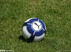 维尔茨去留,对阿隆索加,盟决定无影,万博manbetx体育平台,万博体育官网,万博体育app下载,ManBetX,SPORTS