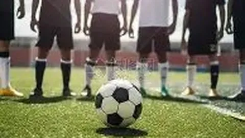 2025赛季CBA全面重启主客场制，新赛季赛事即将开启——中国新闻网报道