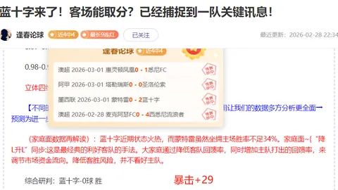 【揭秘澳超风云】神秘外部势力强势介入，战局突变！